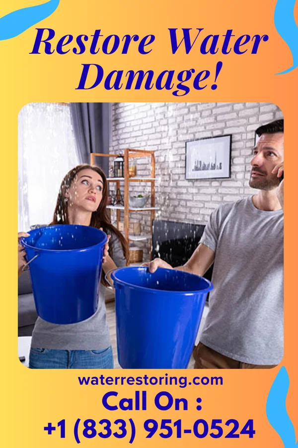 water restoration United Disaster Cleanup Experts Ridgewood