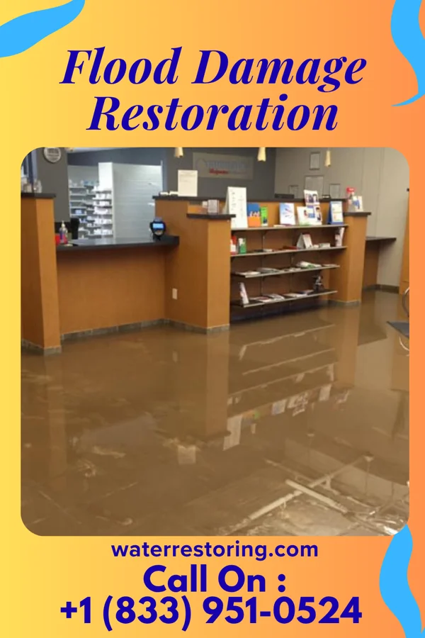 Flood Damage Restoration in Ridgewood, NJ