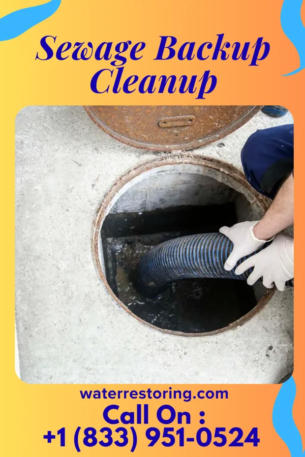Sewage Backup Cleanup in Ridgewood, NJ