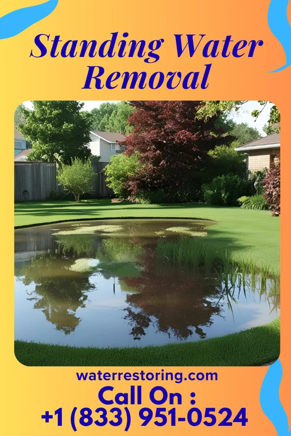 Standing Water Removal in Ridgewood, NJ